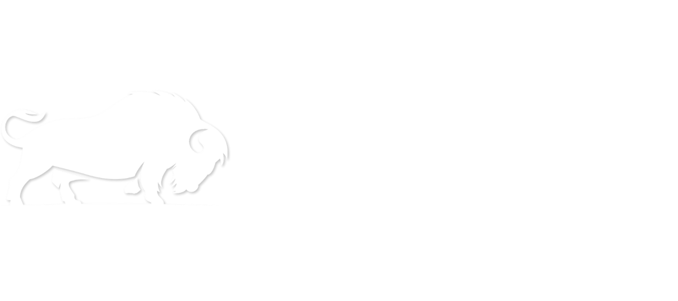 Logo Agência Buffalo